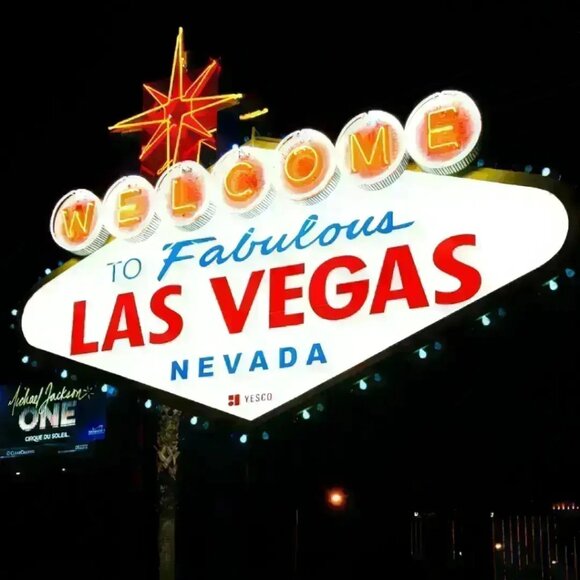 NWOT DONALD X CLINIQUE Colorful Watermelon Print Pouch - Picture 8 of 8